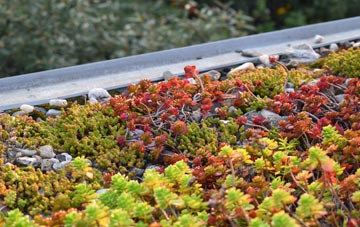 the cost of Herbrandston green roof installation