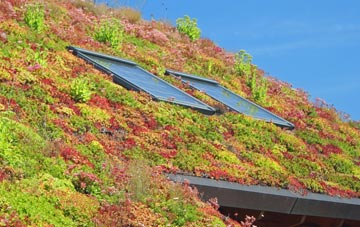 Herbrandston living roof systems