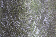 Herbrandston fibreglass roof work